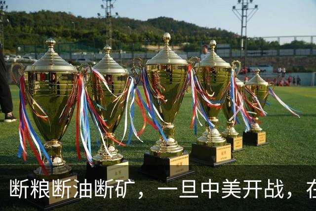 断粮断油断矿，一旦中美开战，在美国全面制裁下中国能打多少年？